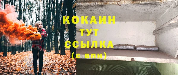 ALPHA PVP Богородицк