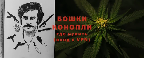 ECSTASY Богородск