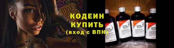 прущие грибы Слюдянка
