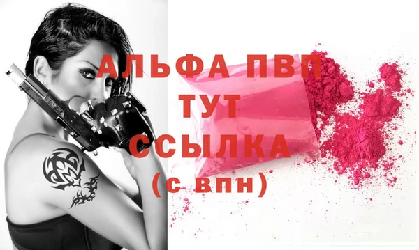 ECSTASY Богородск